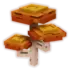 Autumnshroom