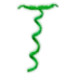 Coilvine