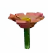 Crownofthorn