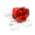 Cryorose