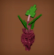 Evo 3beetroot