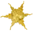 Honeysuckle