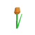 Orangetulip
