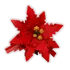 Poinsettia