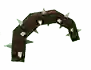 Pyracontha