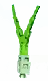 Springonion