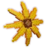 Sunflower 2