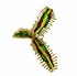 Tacofern