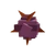 Venusflytrap